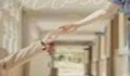 My Bias Is Showing 2025 Kore