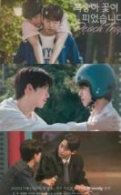 Peach Trap 2025 Kore