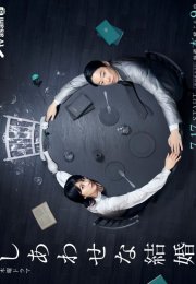 Their Marriage 2025 Japon