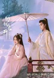 Flying up without Disturb 2025 Çin