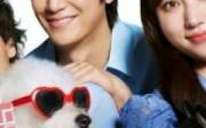 Love Is for the Dogs 2025 Japon