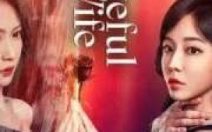 Vengeful Wife 2025 Çin